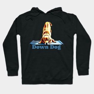 Golden Labrador doing the down dog yoga pose Hoodie